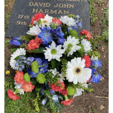 Photo for notice Dave DEE
