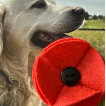 Photo for notice John CORK