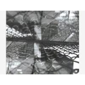 Notice Gallery for Siddall Thomas (Tom)