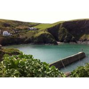 Notice Gallery for Hayley BROAD