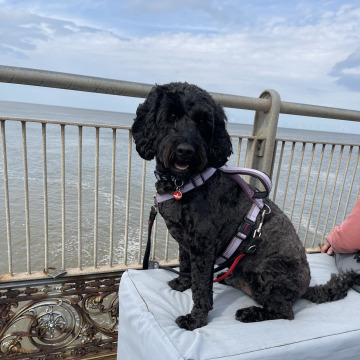 Photo for notice Raymond CLAYTON