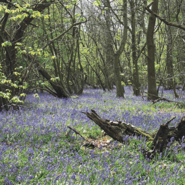 Photo for notice Donald Peter PARMENTER