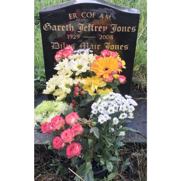 Photo for notice Dilys Coleshill Terrace Llanelli JONES