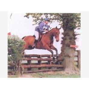 Photo of Jane Diana CONSTANTINE