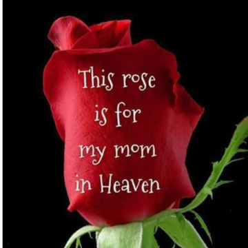 Notice Gallery for Greta REEVES