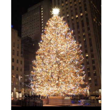 Photo for notice June LAMBERT