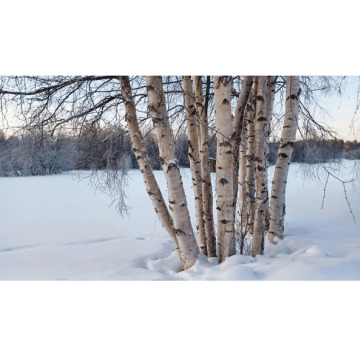 Notice Gallery for Claire Louise BAHI