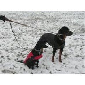 Notice Gallery for Claire Louise BAHI