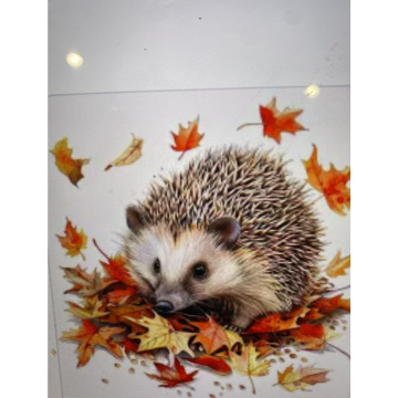 Tribute photo for Andy Peter Dec DEXTER