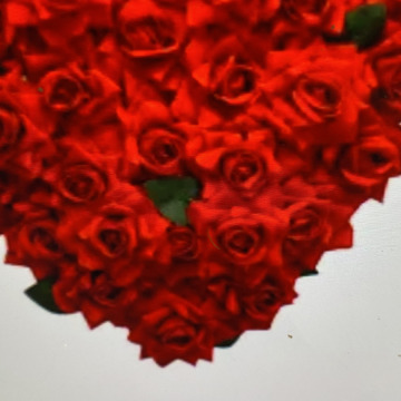 Photo for notice Andy Peter Dec DEXTER