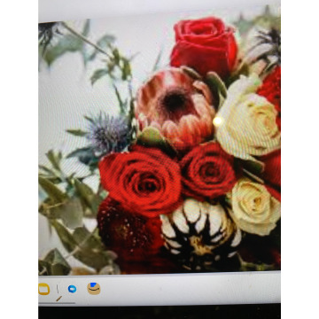 Photo for notice Andy Peter Dec DEXTER