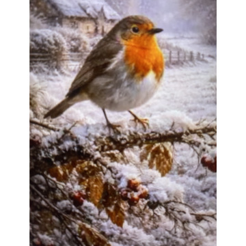 Photo for notice Andy Peter Dec DEXTER