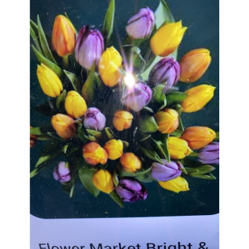 Photo for notice Andy Peter Dec DEXTER