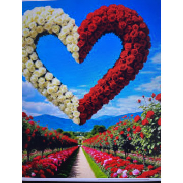 Photo for notice Andy Peter Dec DEXTER