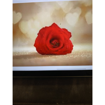 Photo for notice Andy Peter Dec DEXTER