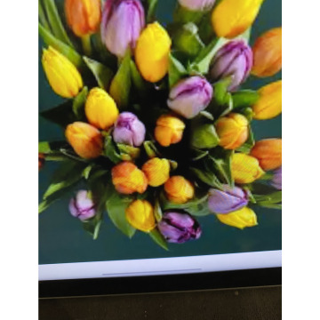 Photo for notice Andy Peter Dec DEXTER