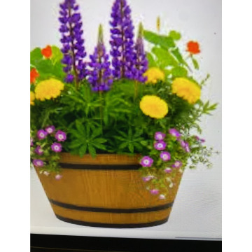 Photo for notice Andy Peter Dec DEXTER