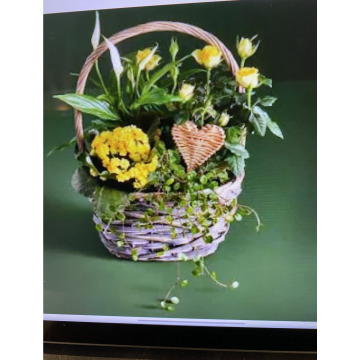 Photo for notice Andy Peter Dec DEXTER