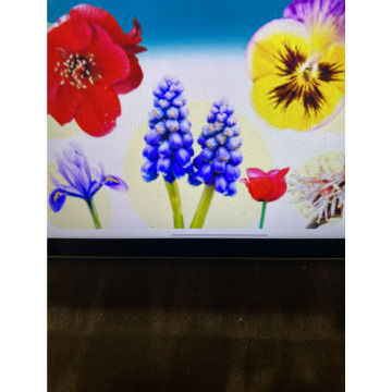 Photo for notice Andy Peter Dec DEXTER