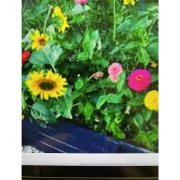 Photo for notice Andy Peter Dec DEXTER