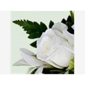 Notice Gallery for Peter KEANE