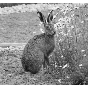 Notice Gallery for Stanleigh Stan LEWRY