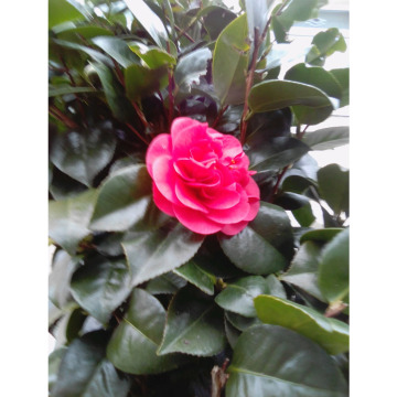 Notice Gallery for Terrence Terry JEWITT