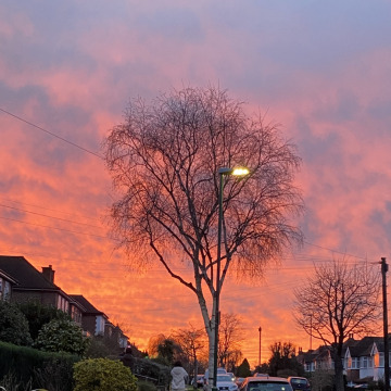 Notice Gallery for JULIE MCVICKER