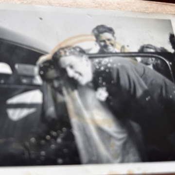 Notice Gallery for Charlie Hamilton