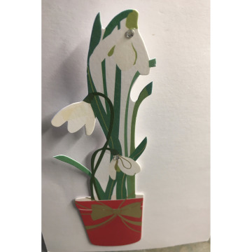 Notice Gallery for SUD