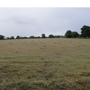 Notice Gallery for David FEWINS