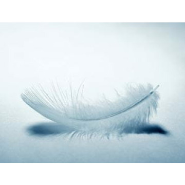 Photo for notice  DAVIS