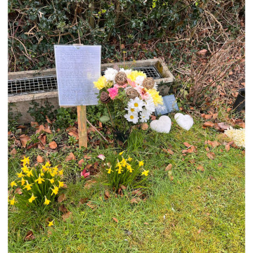 Notice Gallery for Sylvia HARVEY