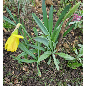 Notice Gallery for Edwin GRAY