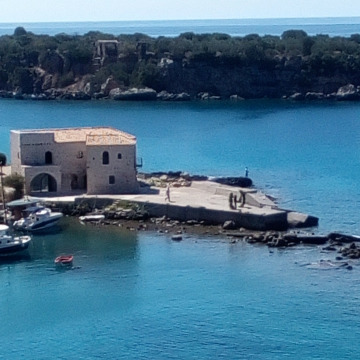 Tribute photo for Mary TURRELL