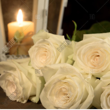 Tribute photo for Mary TURRELL