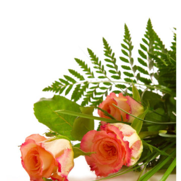 Notice Gallery for Mary TURRELL