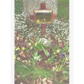 Notice Gallery for Ken BIRTLES