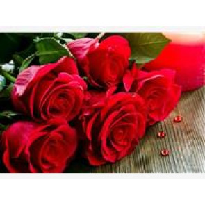 Photo of Elva SHUTTLEWORTH