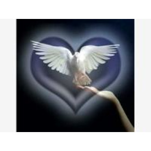 Notice Gallery for Tony GENT