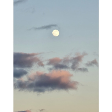 Photo for notice Cliff LEAR