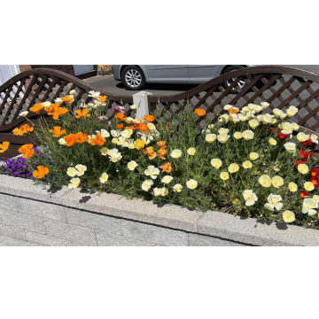 Notice Gallery for Cynthia CLAYTON