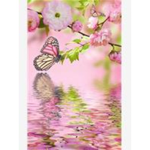 Notice Gallery for Joan ALLEN