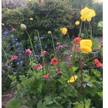 Notice Gallery for Peter MILDREN