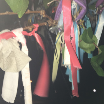 Notice Gallery for Joyce ALLAN