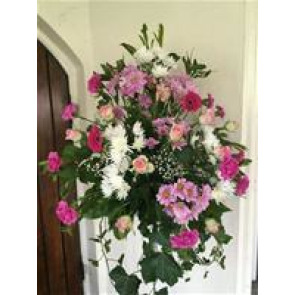 Photo of Phyllis COLLIER