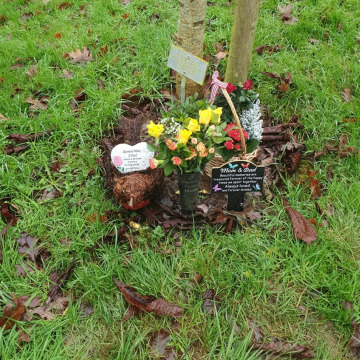 Photo for notice Patricia May ALLSOP