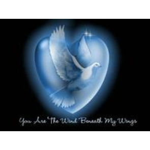 Notice Gallery for GENT