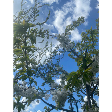 Photo for notice Rita STEWART