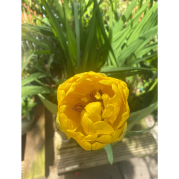 Photo for notice Rita STEWART